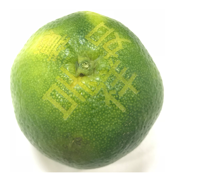 黄瓜视频app网站打标机可以应用那些行业呢?用于那些材料上进行打标呢?